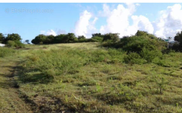 Terrain à SAINTE-ANNE