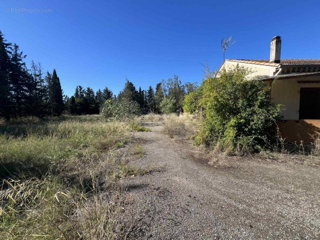 Terrain à MARAUSSAN