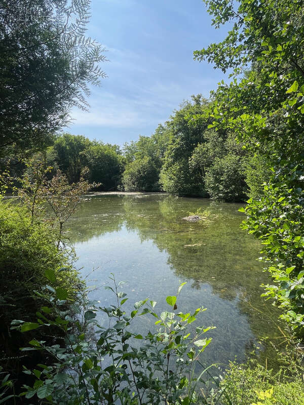 Terrain à FLIXECOURT