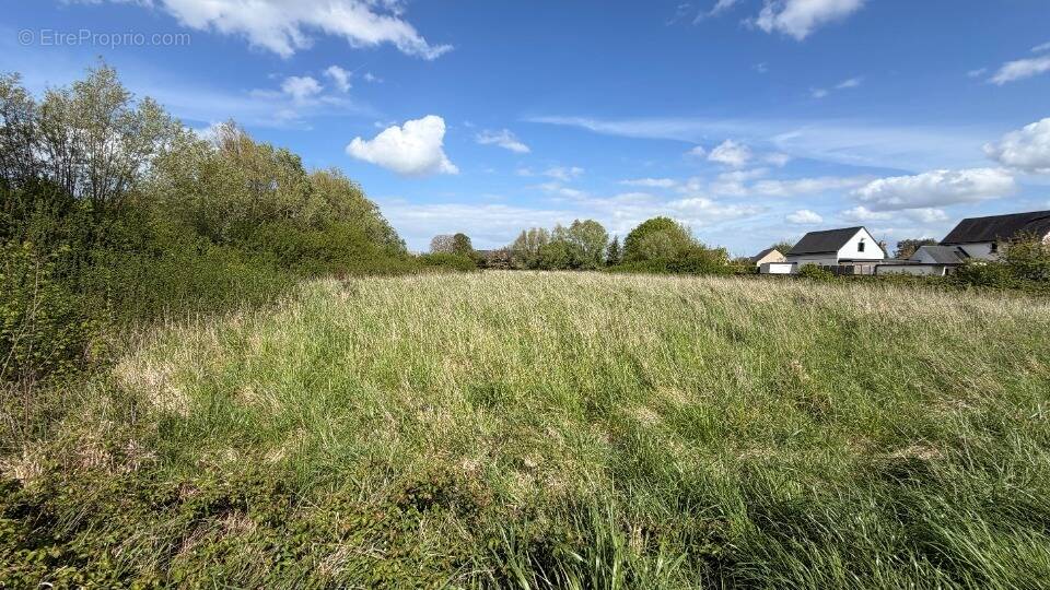 Terrain à LE VIVIER-SUR-MER