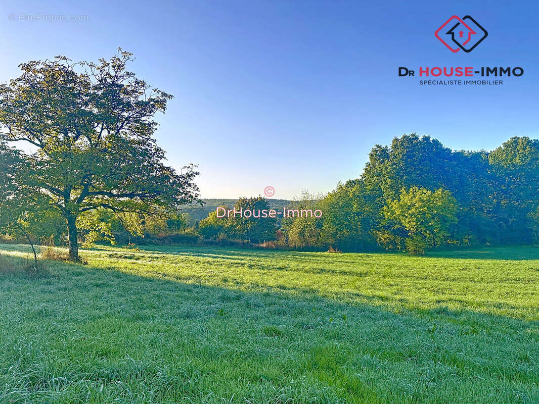 Terrain à SAVIGNAC-LES-EGLISES