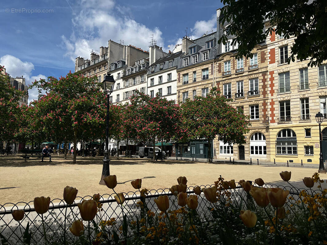 Commerce à PARIS-1E