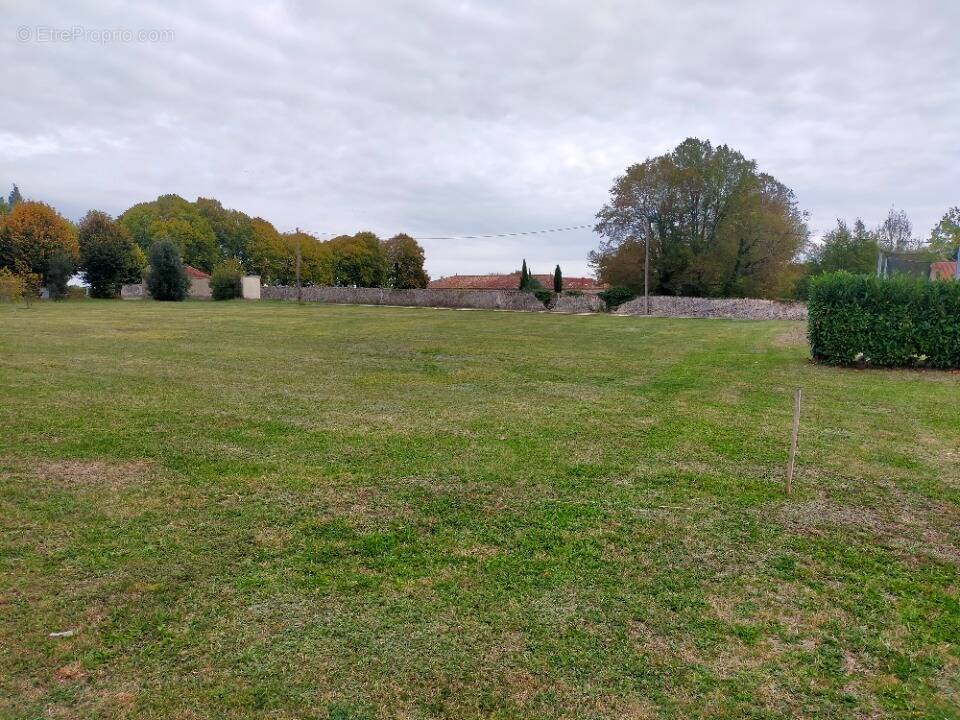 Terrain à SAINT-LAURENT-DE-COGNAC