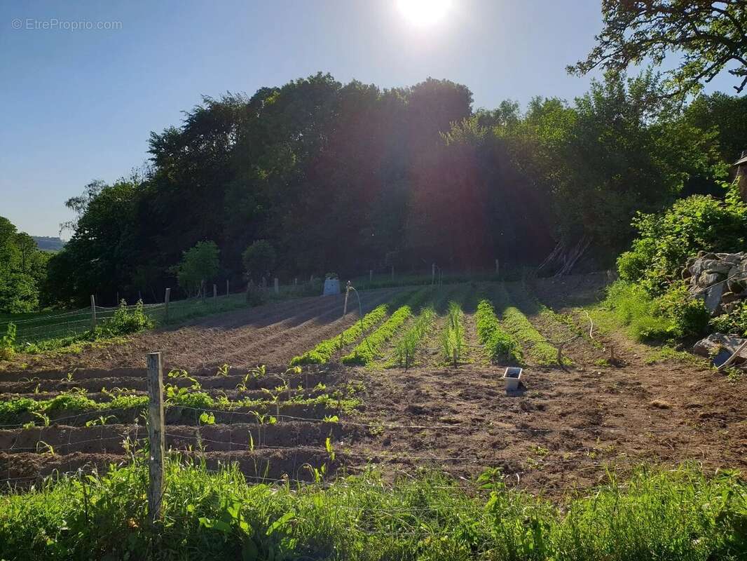Belle ferme située dans une campagne vallonnée avec un gîte et 2 dômes géodésiques - photo 18
