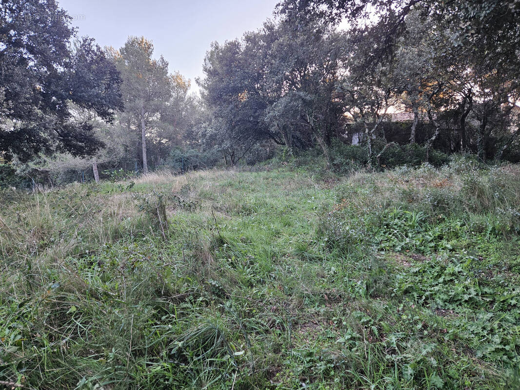 Terrain à CHATEAURENARD