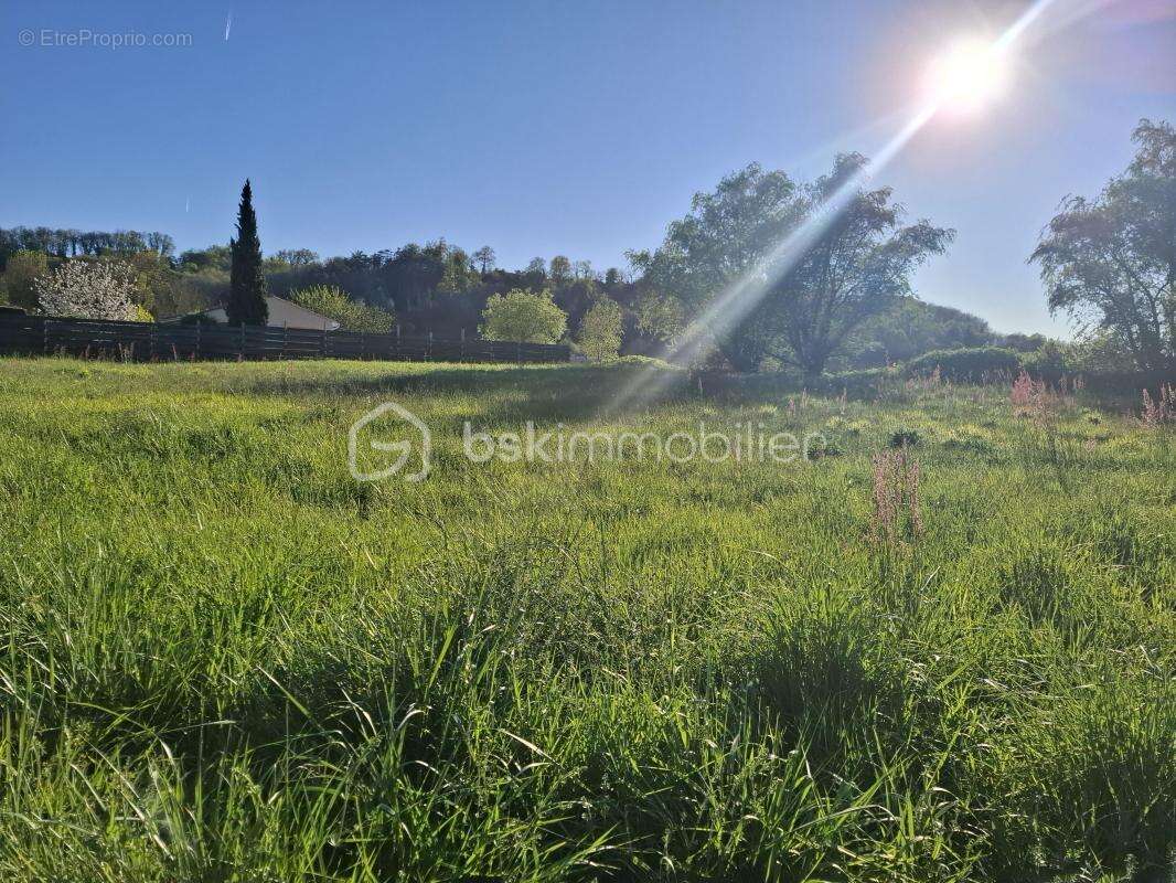 Terrain à bâtir 2055 m² – Flaujagues (33350) - photo 2