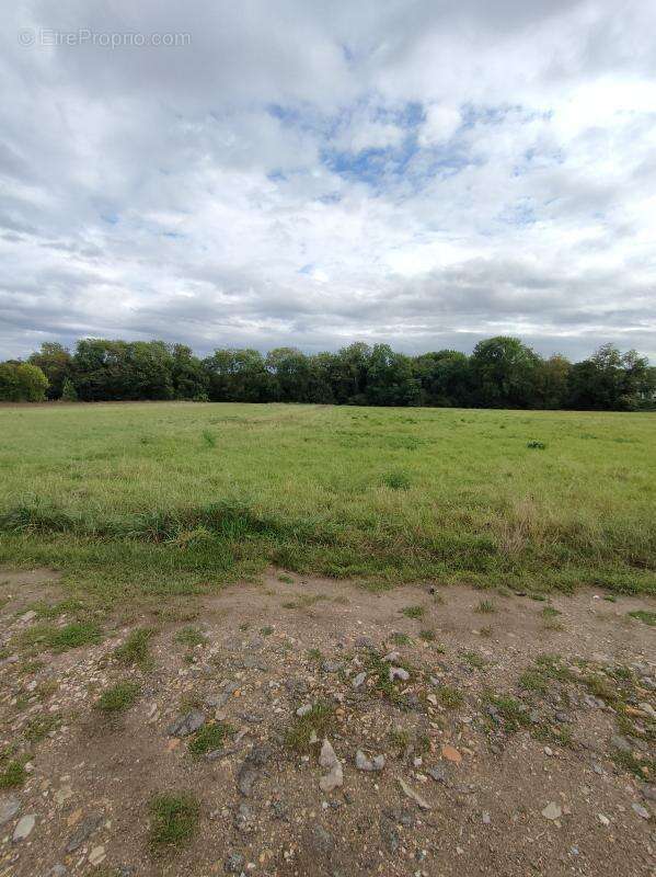 Terrain à AUVERS-SUR-OISE