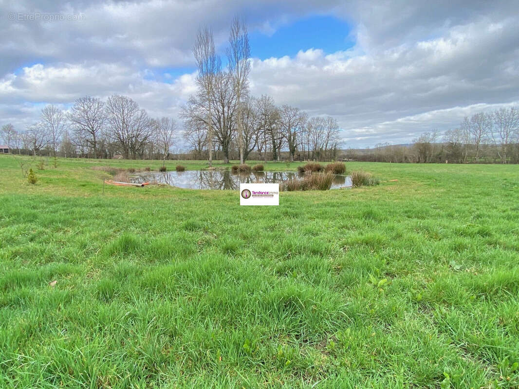 Terrain à LE MELE-SUR-SARTHE