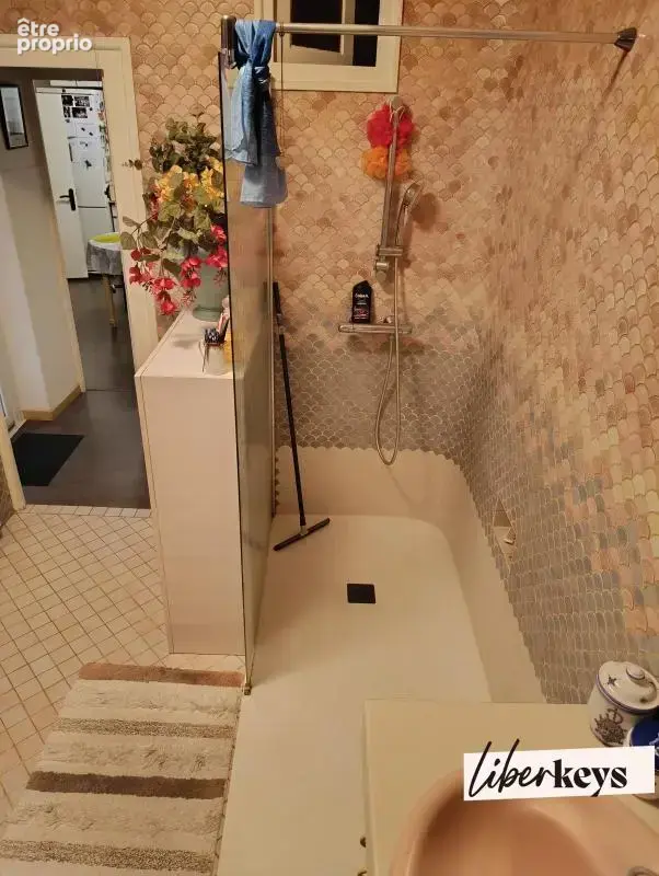 2 appartements standing mono propriété - 229,50 m² - comble aménageable - balcons - garage double- caves - vue quai de saône - photo 23