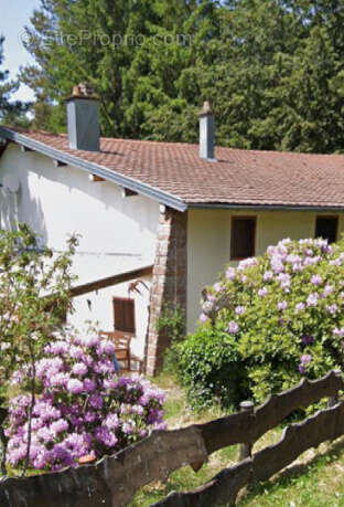 Maison à BIFFONTAINE