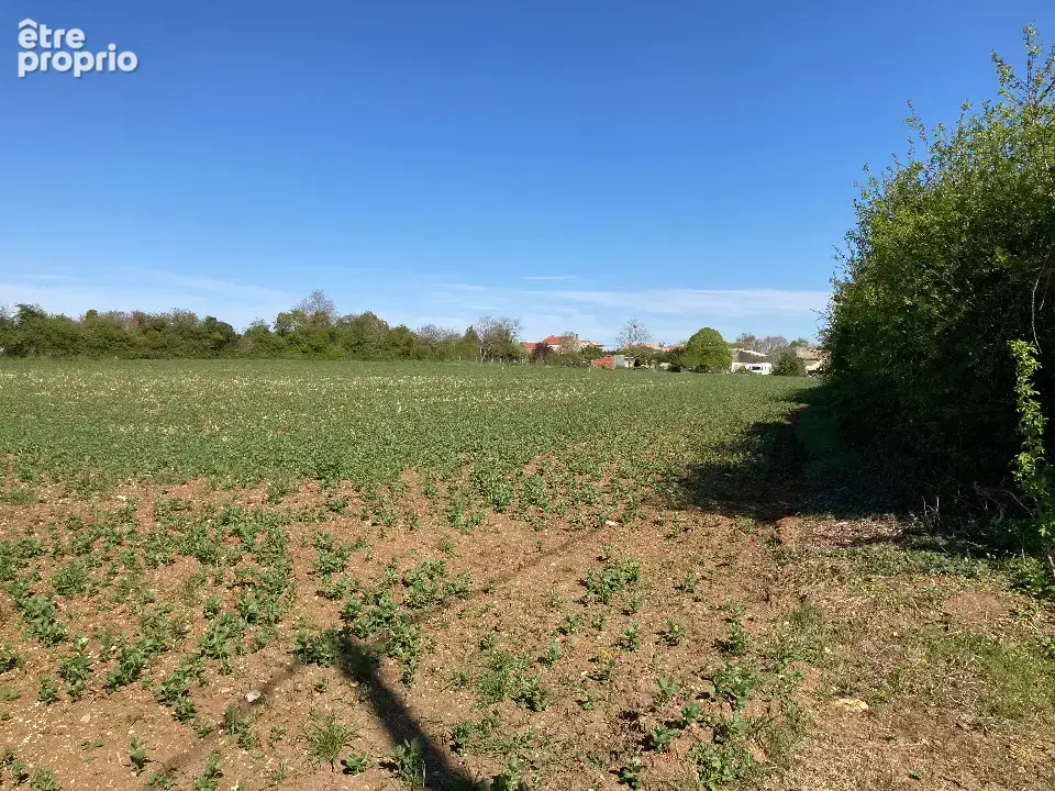 Terrain à CHAMPAGNOLLES
