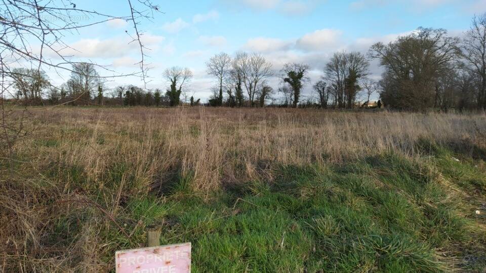 Terrain à HOTTOT-LES-BAGUES