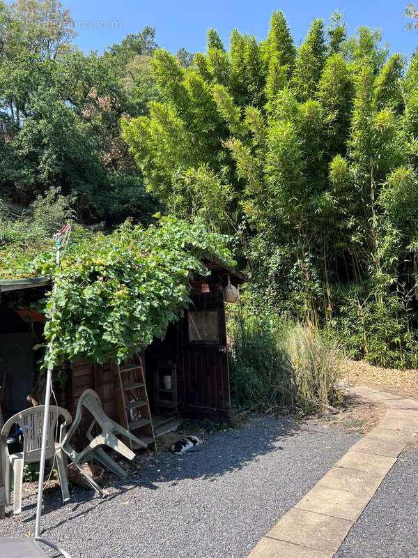 Maison en pierre, 3 chambres, terrain à perte de vue - photo 3
