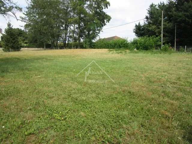 Terrain à VARENNES-SUR-ALLIER