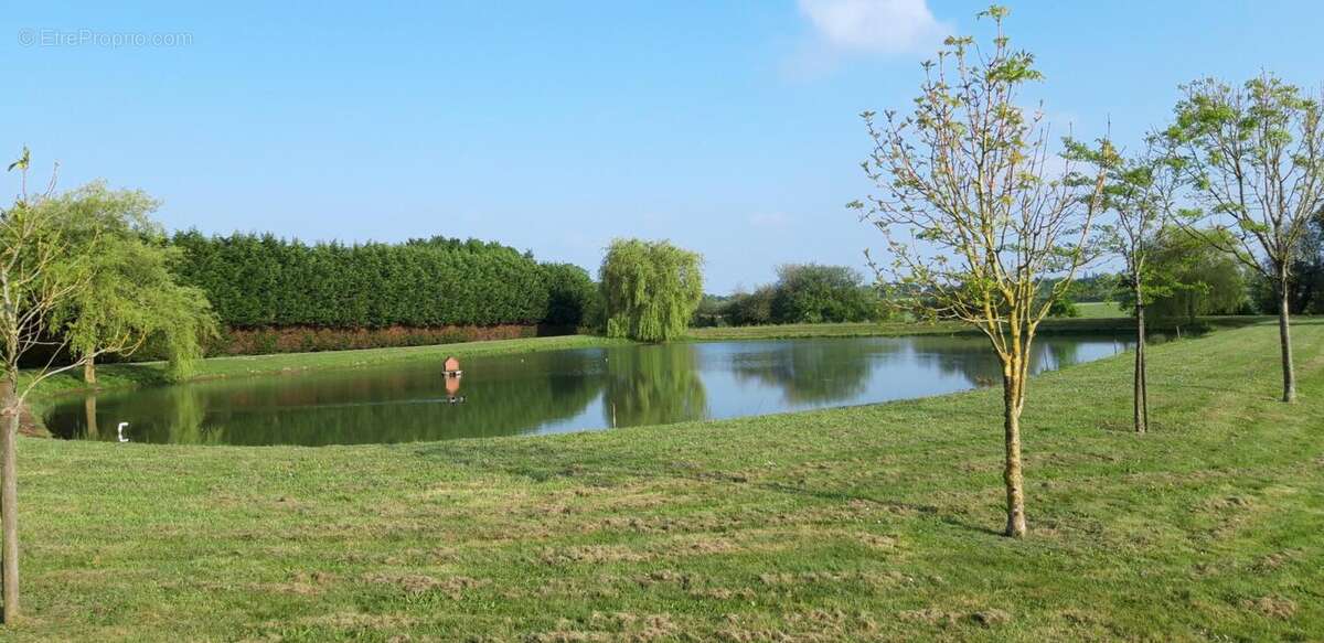 Terrain à PANNECE