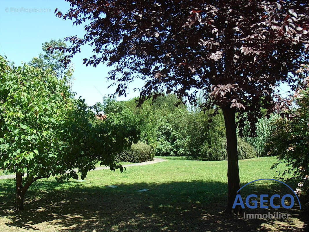 Parc - Appartement à TOULOUSE