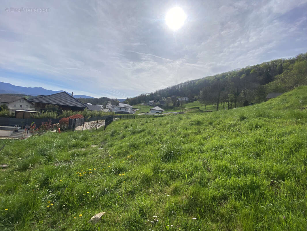 Terrain à SAINT-CASSIN