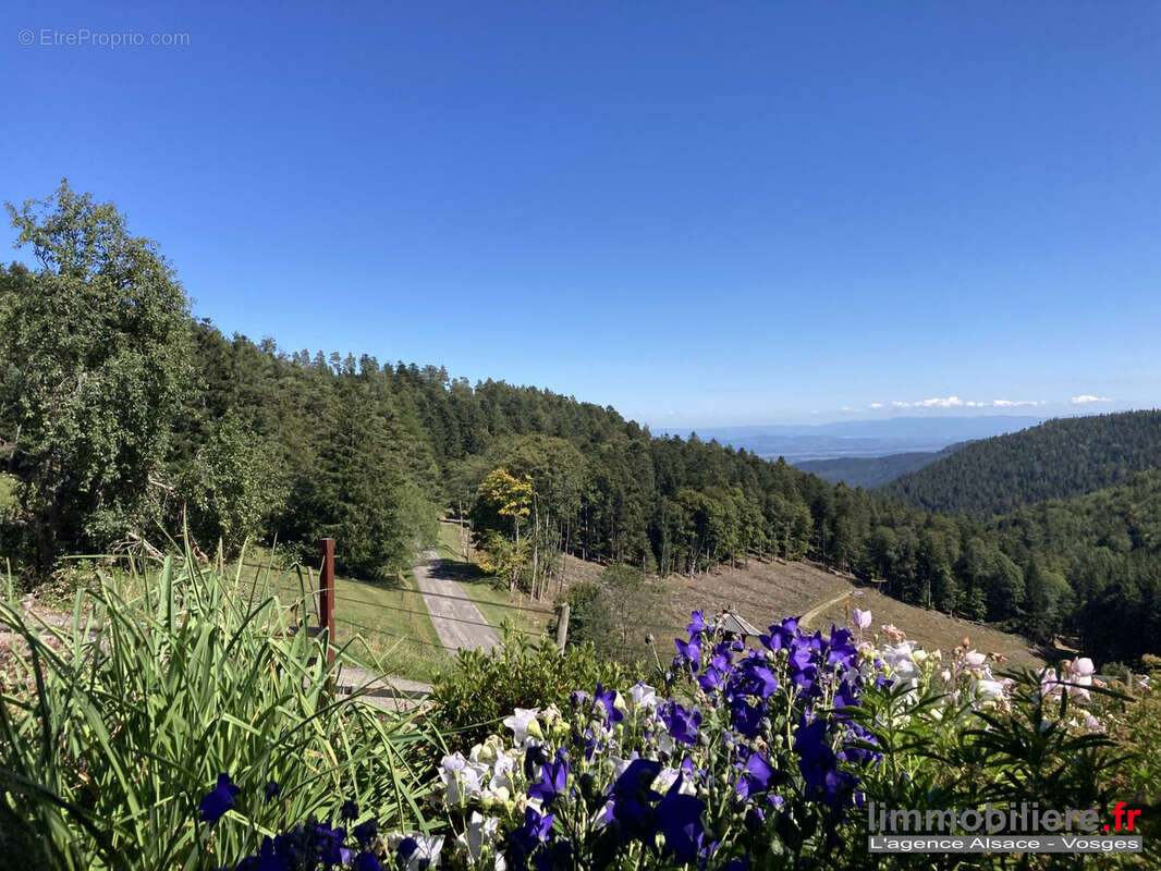 Appartement à AUBURE