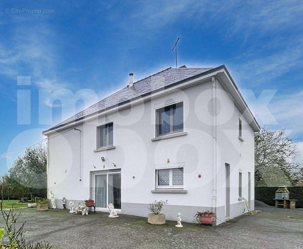 PHOTO MERCIER2 - Maison à MESANGER