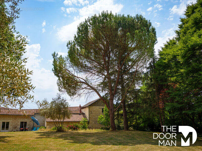 Propriété 86120 - photo 28