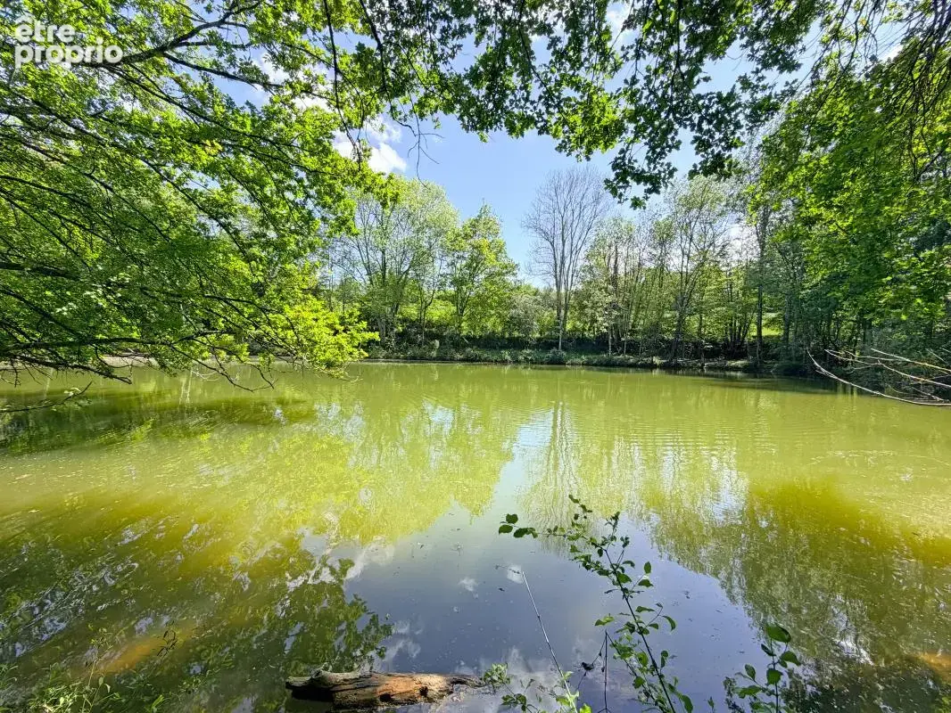Propriété de 19,5 hectares avec étang multiples bâtiments - photo 11