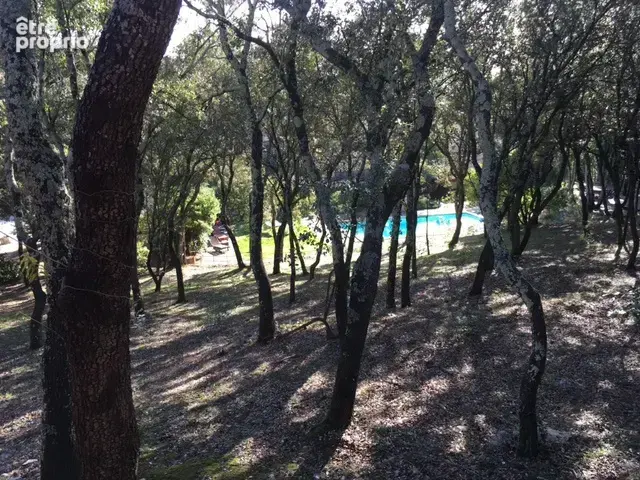  MAS 750 m2. Terrain 7 Hectares. - photo 88