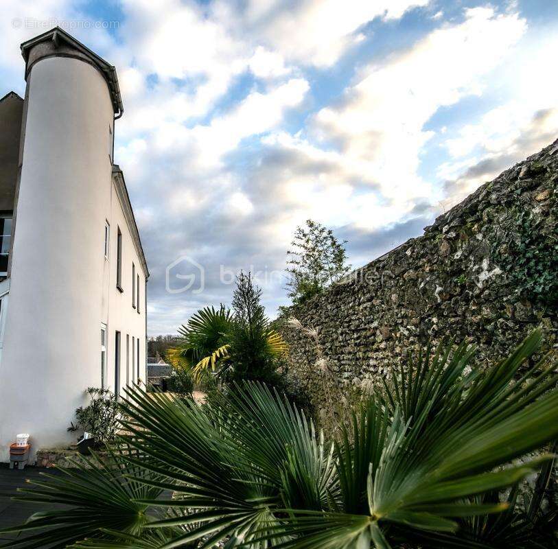 Maison à CHATEAU-RENAULT