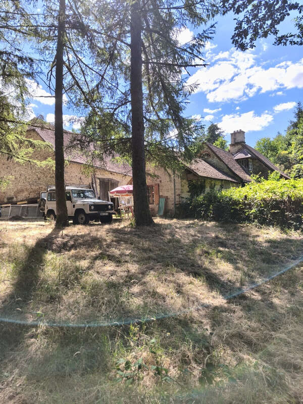 propriété à terminer de rénover avec 11ha de taillis - photo 3