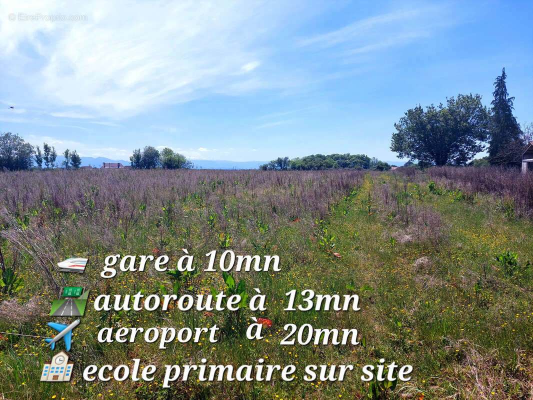 Terrain à CASTILLON(CANTON D'ARTHEZ-DE-BEARN)