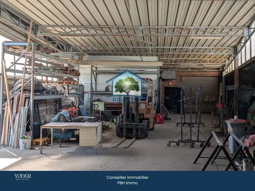 Commerce à NIEDERMODERN