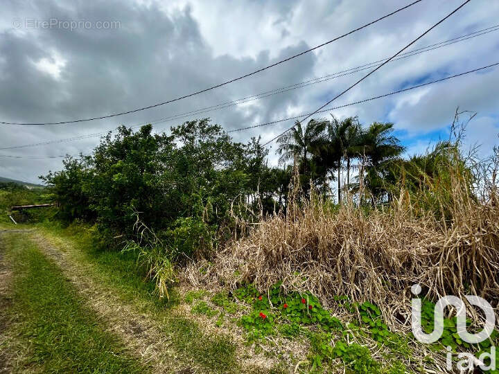 Photo 4 - Terrain à SAINT-JOSEPH