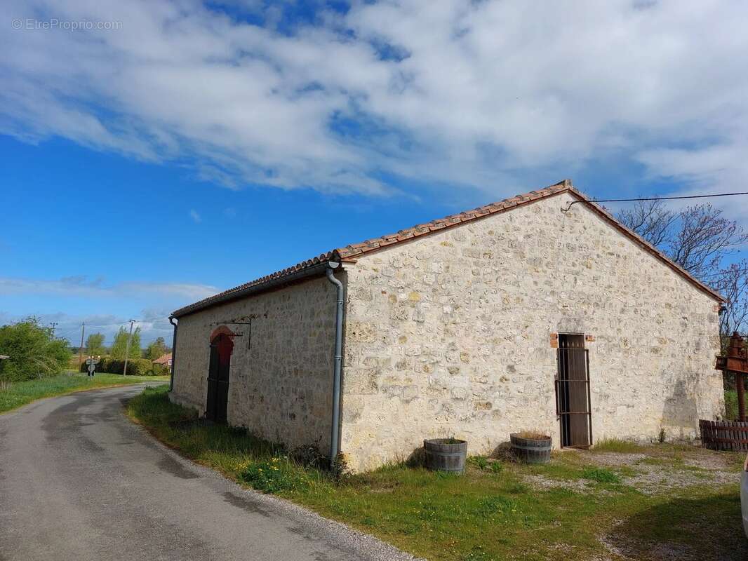 Domaine viticole bio près de Cordes-sur-Ciel - photo 6