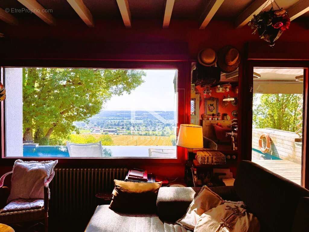 COUP DE CŒUR – Vue panoramique et piscine à débordement sur les hauteurs de Tournus - photo 10