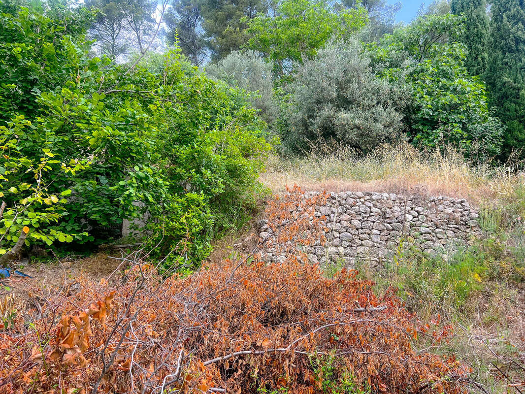Terrain à MONTFORT-SUR-ARGENS
