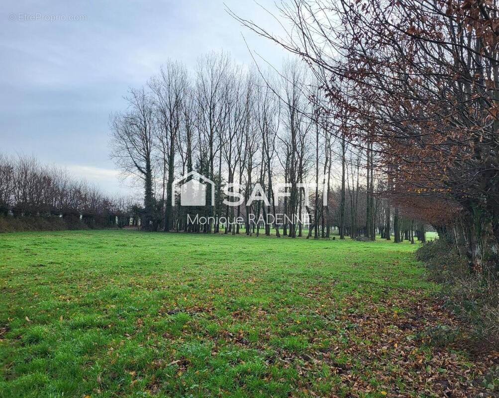 Photo 1 - Terrain à POMMIER