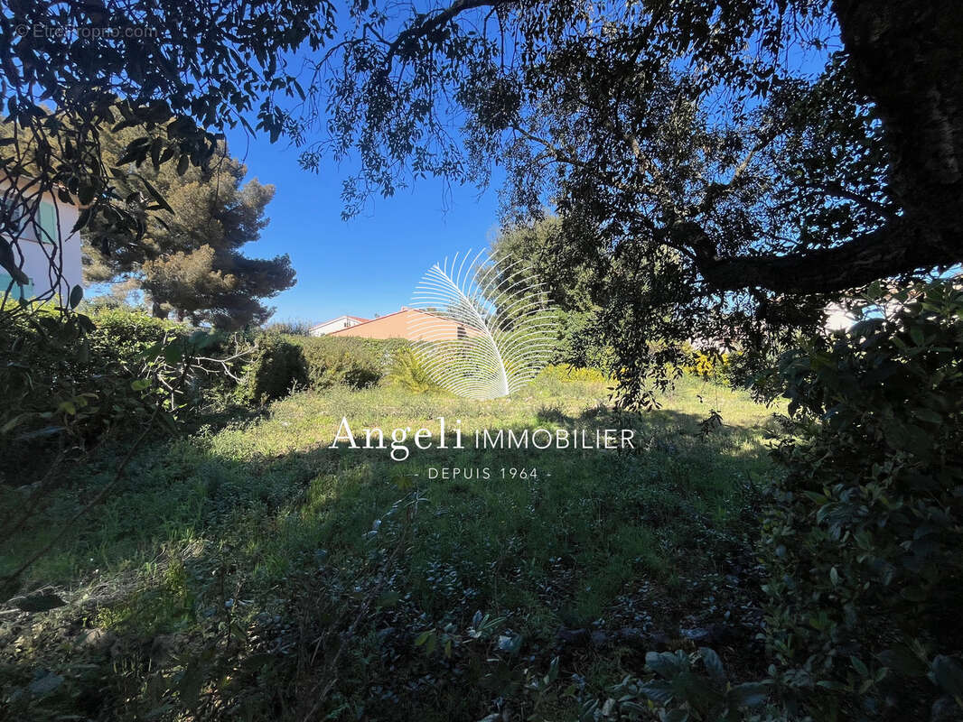 Terrain à FREJUS