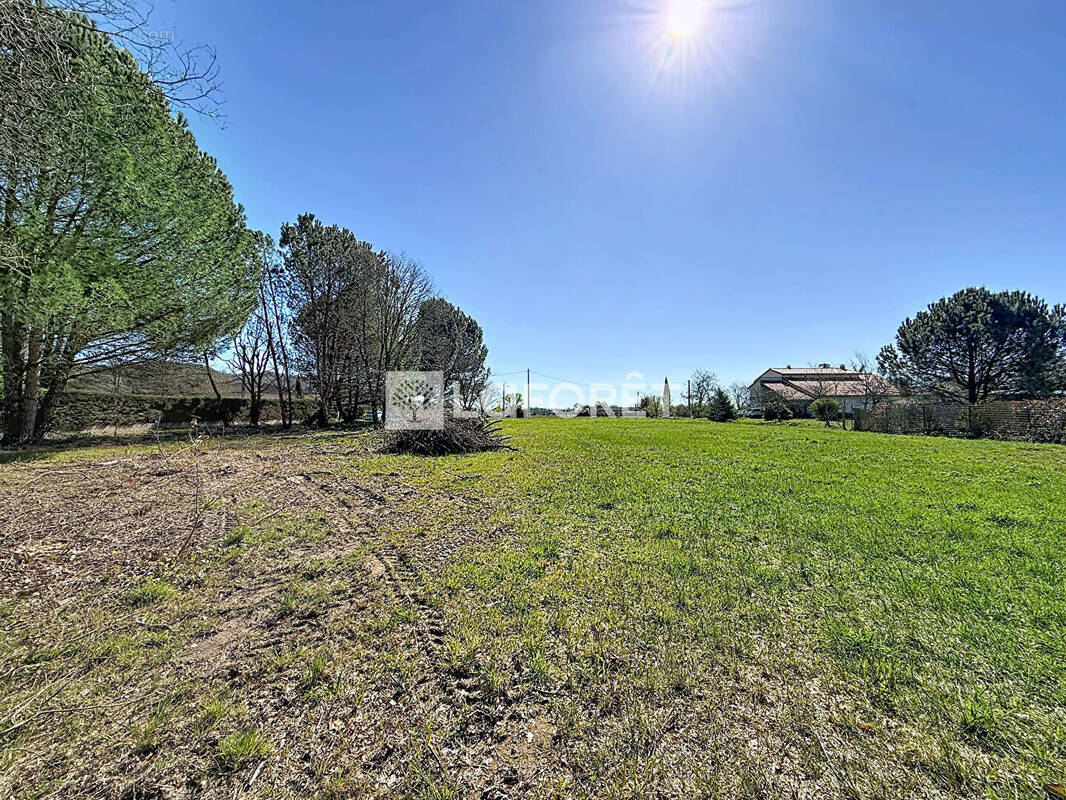 Terrain à VILLEMATIER