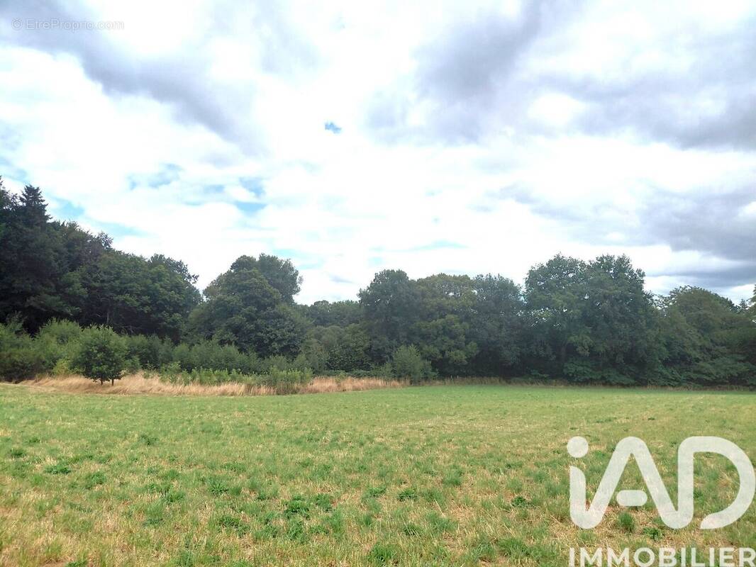 Photo 1 - Terrain à ROYERES