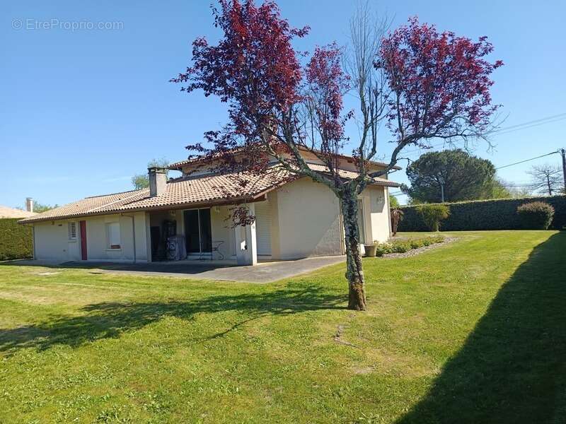 Maison à AIRE-SUR-L'ADOUR