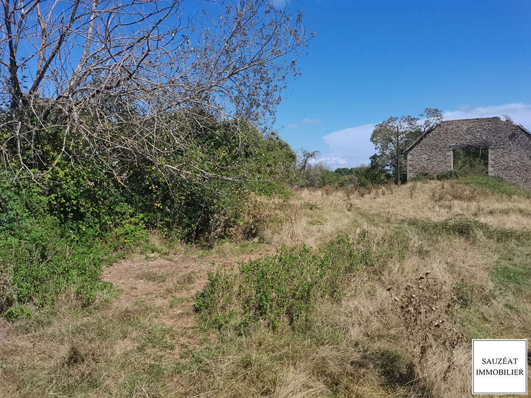 Terrain à MAGNAC-BOURG