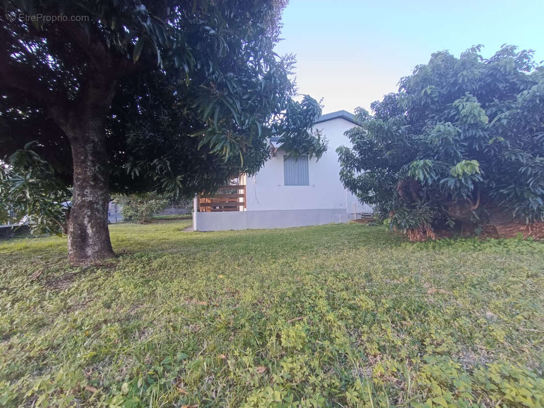 Maison à SAINT-JOSEPH