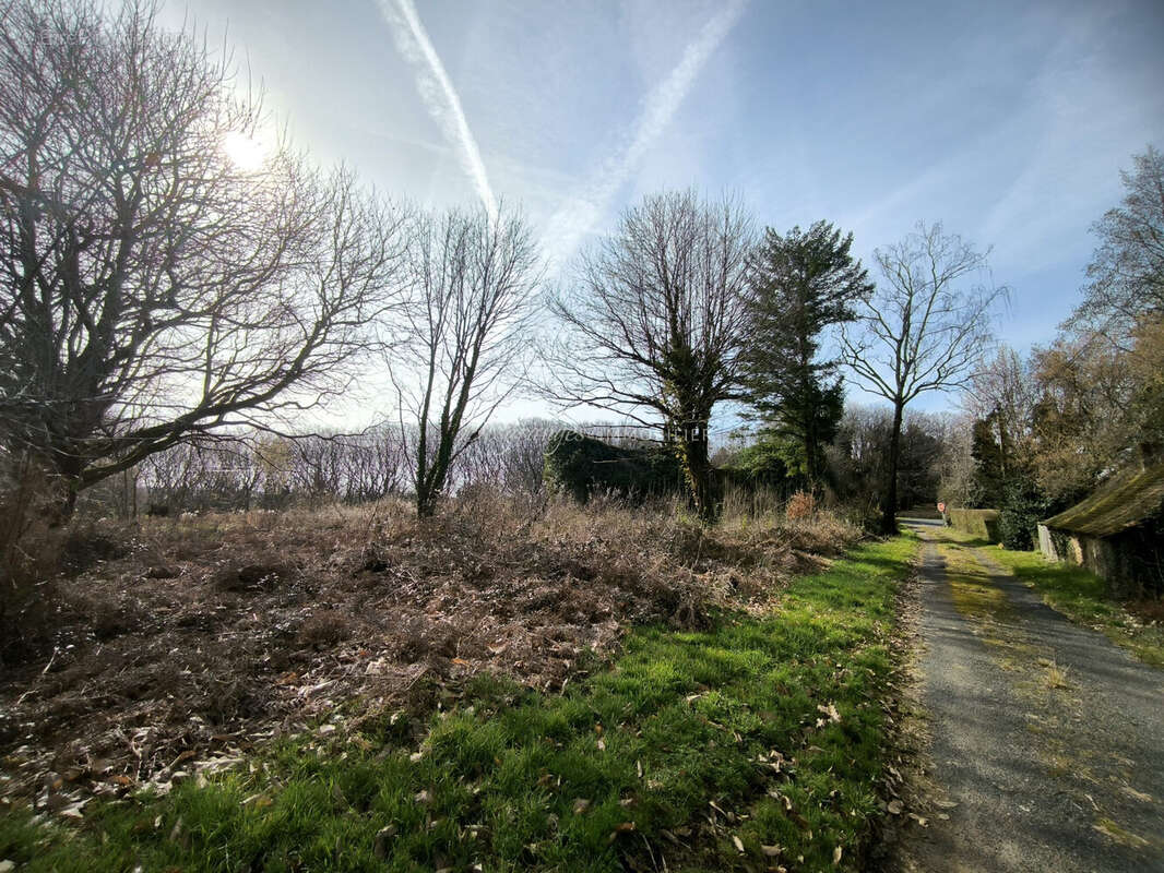 Terrain à BEYSSENAC