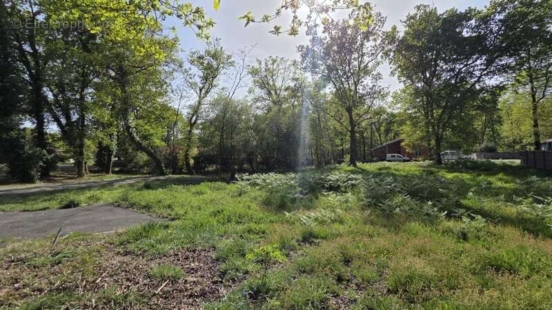 Terrain de 1 187 m² - Gourbera - calme, nature, exposition Sud et libre de constructeur - photo 2