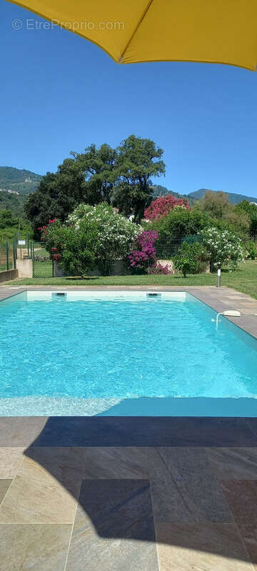 Maison à SAN-NICOLAO