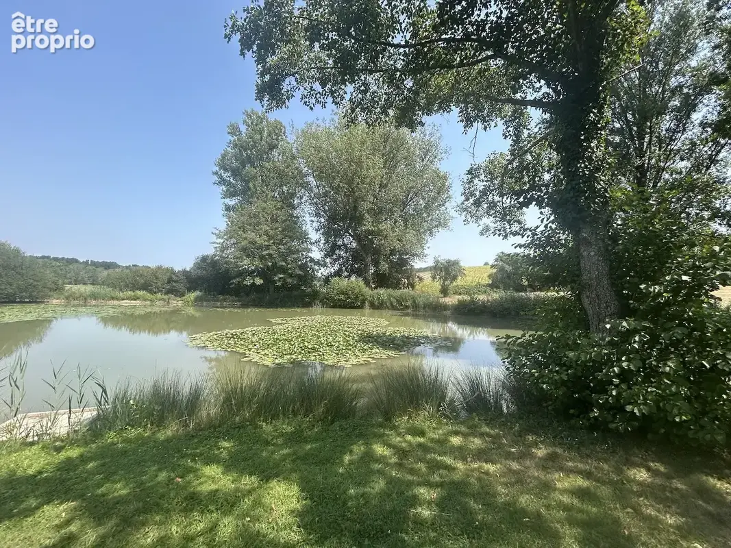 Maison d'architect avec étang, piscine, dépendances au calme. - photo 30