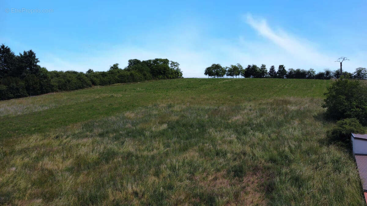 SERGINES (89) - Terrain a batir de 1450 m² - photo 2