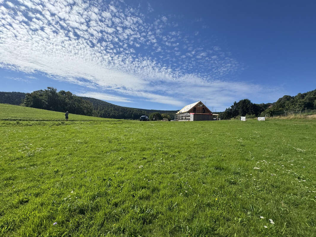 Terrain(s) constructible(s) 13,15a Hohwald - photo 3