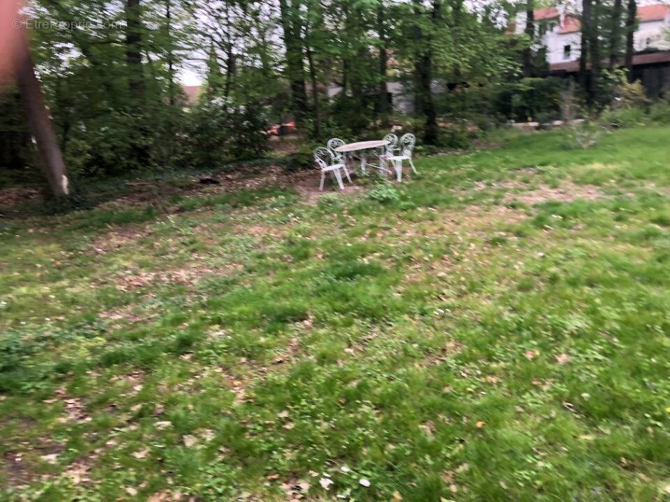 Terrain à SAINT-PATHUS