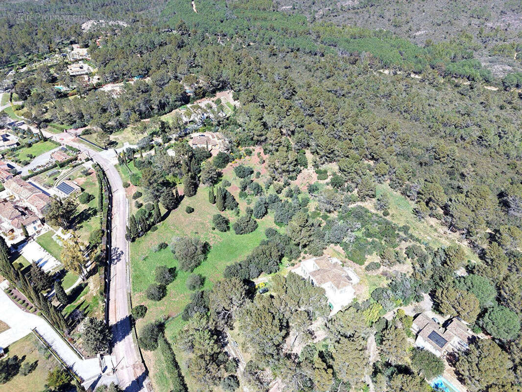 Terrain à PUGET-SUR-ARGENS