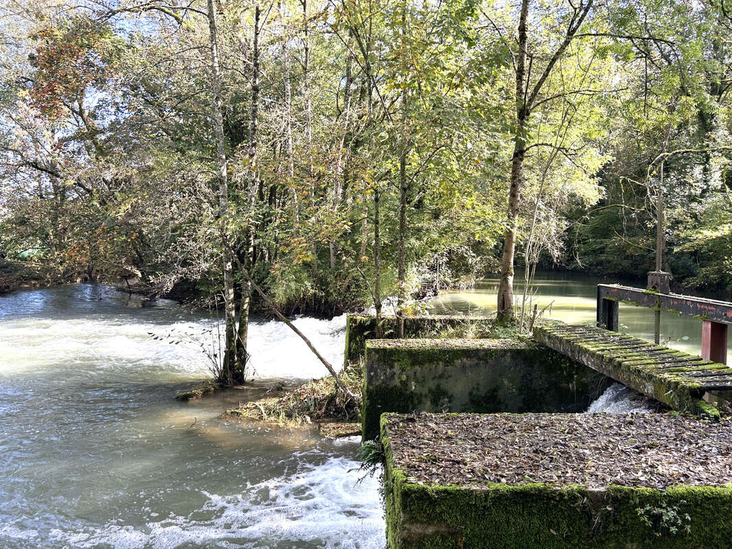 Ancien moulin  avec dependances au coeur de la vingeanne - photo 12